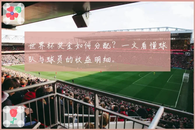 世界杯奖金如何分配？一文看懂球队与球员的收益明细。