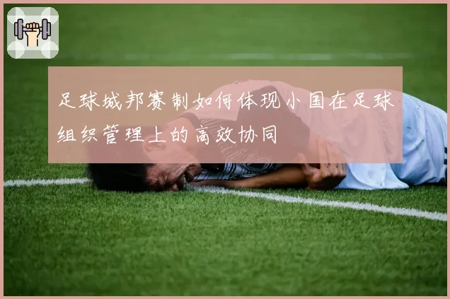 足球城邦赛制如何体现小国在足球组织管理上的高效协同