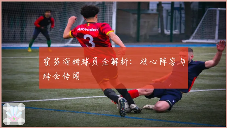 霍芬海姆球员全解析：核心阵容与转会传闻